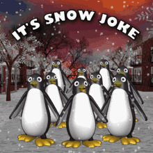 Its Snow Joke Its No Joke GIF - Its Snow Joke Its No Joke Penguins GIFs