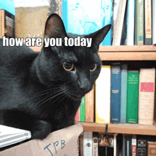 a black cat laying on a cardboard box with the words how are you today written above it
