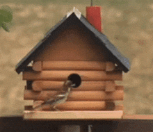a small wooden birdhouse with a bird coming out of it 's hole