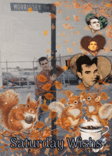 The Smiths Morrissey GIF - The Smiths Smiths Morrissey GIFs