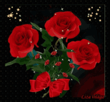 Red Roses Flowers GIF