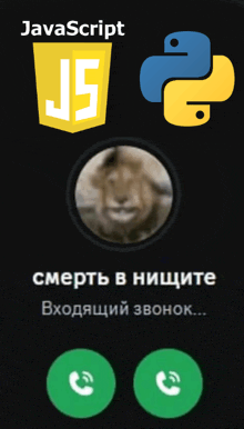 a phone screen with javascript and python icons on it
