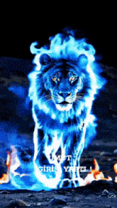 a picture of a lion surrounded by blue flames with the words umut giriş yitti written below it