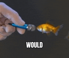 Would GIF - Would GIFs