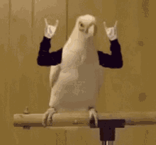 Yes Yay GIF - Yes Yay Hand Sign GIFs