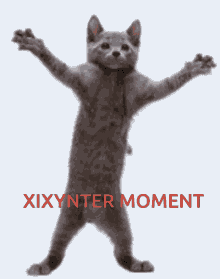 Xixynter GIF - Xixynter GIFs