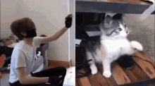 Ranboo Cat GIF - Ranboo Cat Meow Meow GIFs