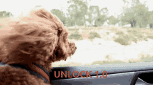Unlock Pup GIF - Unlock Pup Puppy GIFs