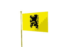 vlag van