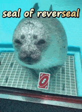 a seal holding a uno card in its mouth