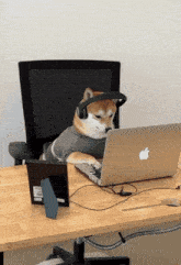 Doge Meme Do Not Disturb GIF