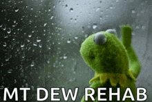 kermit the frog looking out a window with the words mt dew rehab