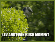 Ev And Lev Bush Moment GIF