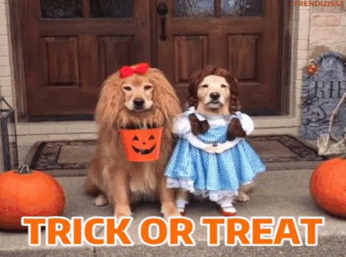 Dogs in Halloween costumes | GIF