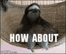 Sloth How About No GIF - Sloth How About No Funny Animals GIFs