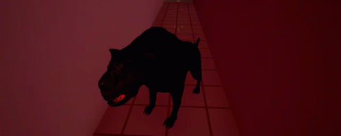 Hound GIF - Hound - Discover & Share GIFs