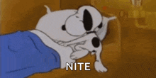 Snoopy Good Night GIF - Snoopy Good Night Rest Well GIFs