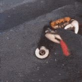 a crab is sitting in a sink with a knife .