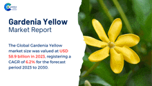 Gardenia Yellow Market Report 2024 GIF
