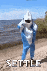 a person in a shark costume is standing on a beach next to the water .