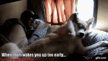 Gone To The Snow Dogs Gttsd GIF - Gone To The Snow Dogs Gttsd Too Early GIFs
