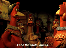 Chicken Run Bunty GIF - Chicken Run Bunty Face The Facts Ducks GIFs