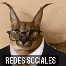 Redes GIF - Redes GIFs