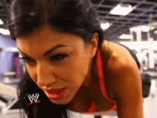 Rosa Mendes Wwe GIF - Rosa Mendes Wwe Work Out GIFs