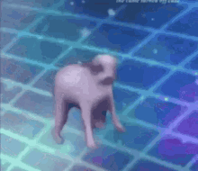a dog is standing on a blue tiled floor .