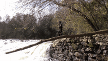 a person standing on a log overlooking a river