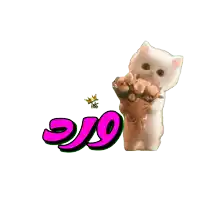 a white cat is holding a bouquet of flowers in front of a sign that says " good morning "