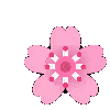 a cartoon illustration of a pink flower with white petals on a white background .