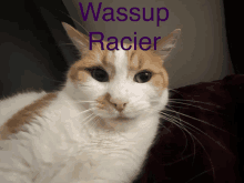 Racier Cw GIF - Racier Cw GIFs