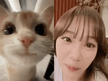 a cat and a woman are looking at each other .