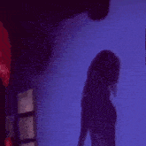 a shadow of a woman is projected on a wall