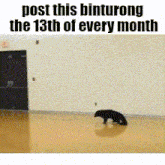 a picture of a dog crawling on the floor with the caption post this binturong the 13th of every month