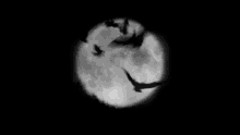 Månens GIF - Månens GIFs