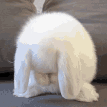 Jungkook Bunny GIF - Jungkook Bunny Jungkook Bunny GIFs