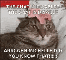 a cat with a flower on its head is laying on a bed with a caption .