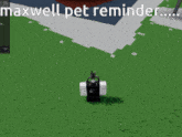 a screenshot of a video game with the words maxwell pet reminder on it