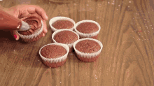 Vegan Chocolate Cupcakes GIF - Desserts GIFs
