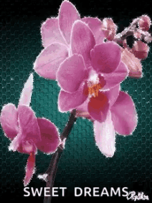 Flower Design GIF
