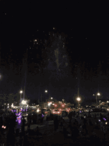 a fireworks display is being watched by a crowd of people