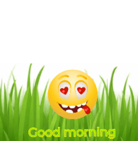 a smiley face with hearts in his eyes and the words " good morning " below it