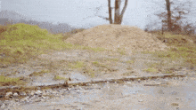 a person in a military uniform is kneeling in a puddle of water