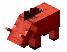 minecraft minecraft