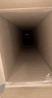 a cardboard box with two eyes in the middle of it .