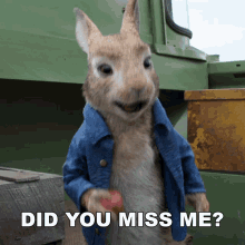 Did You Miss Me Peter Rabbit GIF - Did You Miss Me Peter Rabbit Peter Rabbit2the Runaway GIFs