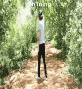 a person standing on a dirt path with the word shining written above them