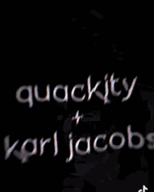 Quackity Karl GIF - Quackity Karl GIFs